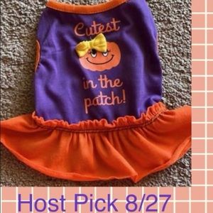 🎃 Halloween pet outfit. 🐶